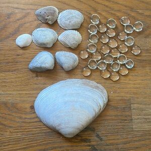 Shells and Clear Glass Accent Gems